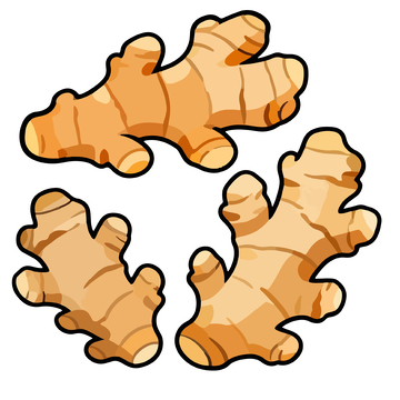 卡通生姜根插画设计元素