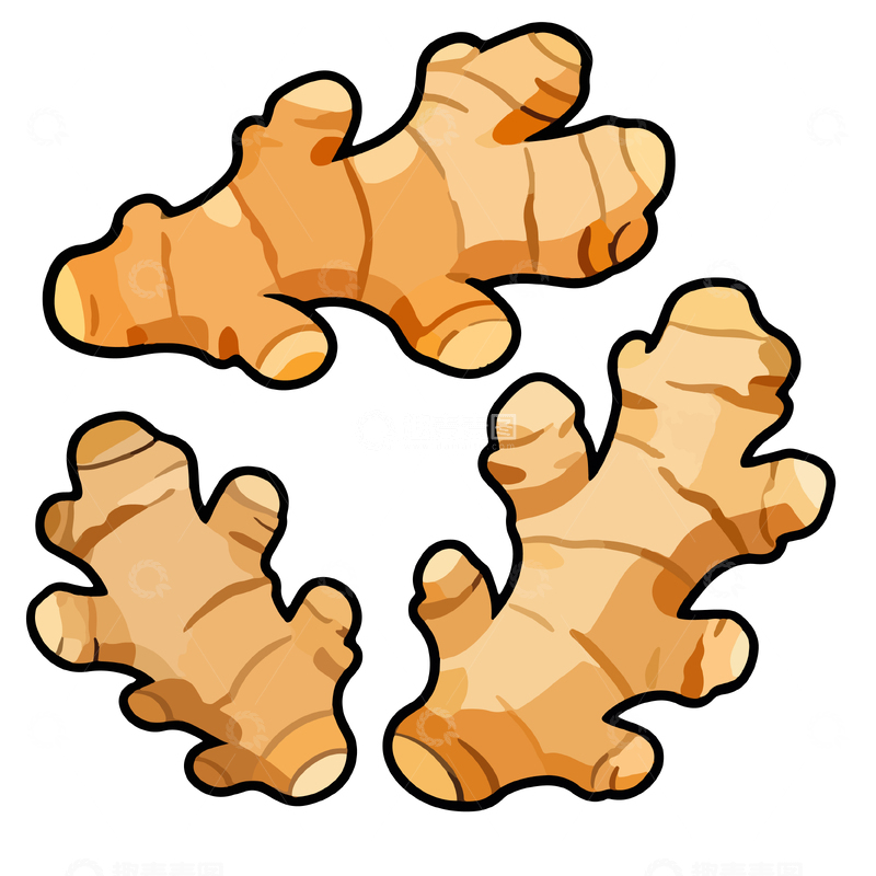 源文件下载【趣麦麦图】卡通生姜根插画设计元素