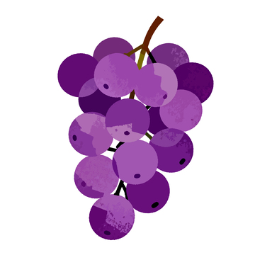 卡通风格紫色葡萄插画