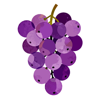 紫色葡萄插画素材