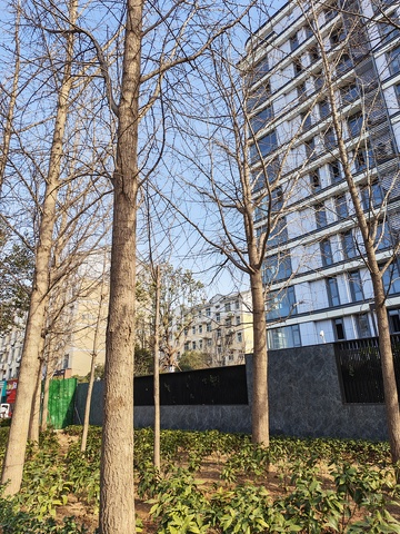 园林景观绿化