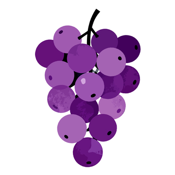 紫色葡萄卡通插画