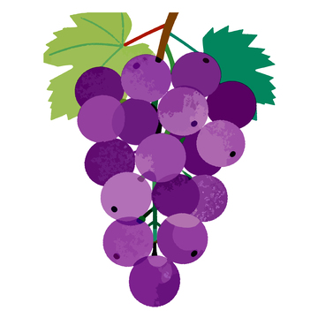 紫色葡萄插图矢量素材