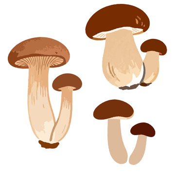 手绘风格蘑菇插画