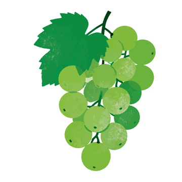 水彩绿色葡萄插画素材