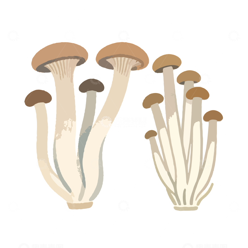 源文件下载【趣麦麦图】简约插画风格蘑菇矢量素材