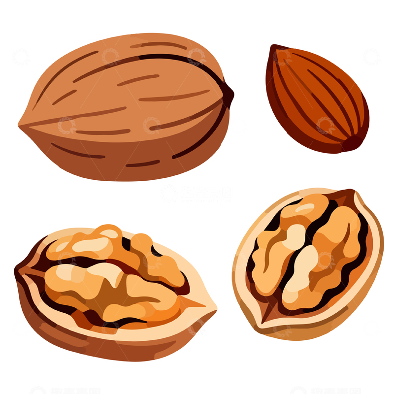 源文件下载【趣麦麦图】卡通风格核桃插画设计素材