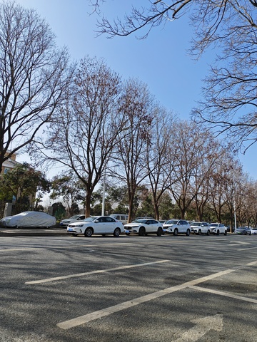都市街道风光