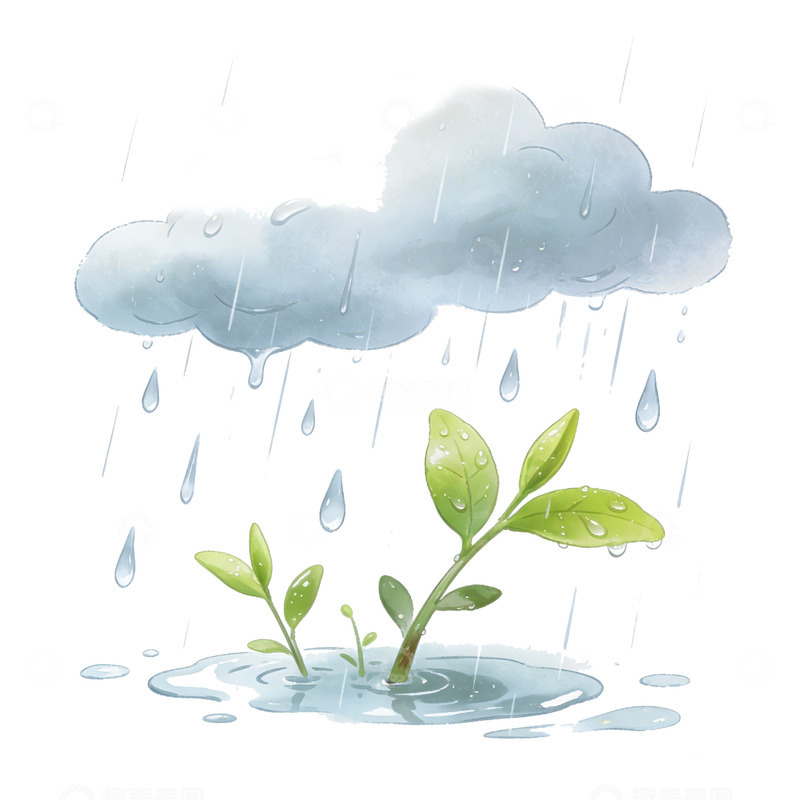 高清大图下载【趣麦麦图】水彩雨滴植物插画
