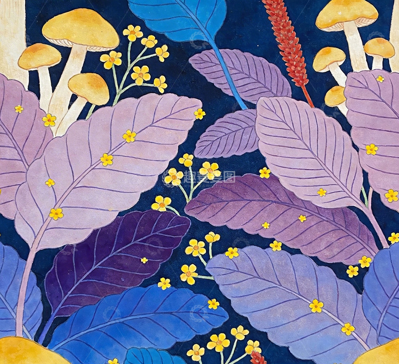高清大图下载【趣麦麦图】自然野趣的植物插画