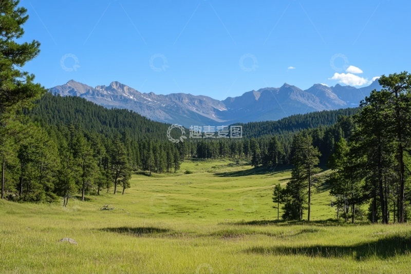 高清大图下载【趣麦麦图】森林草地树林自然美景