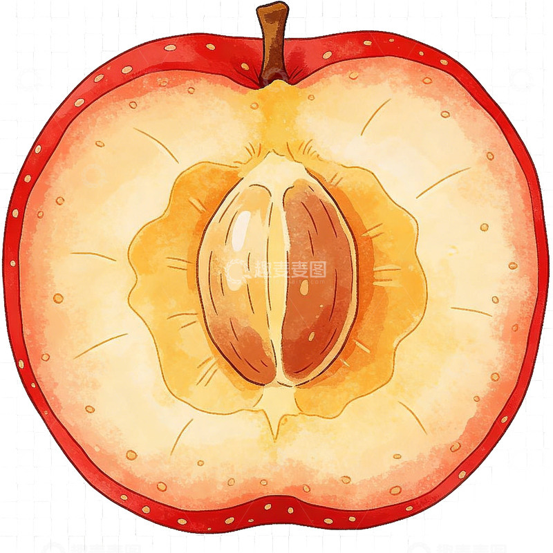 高清大图下载【趣麦麦图】水彩画山楂苹果切开图案