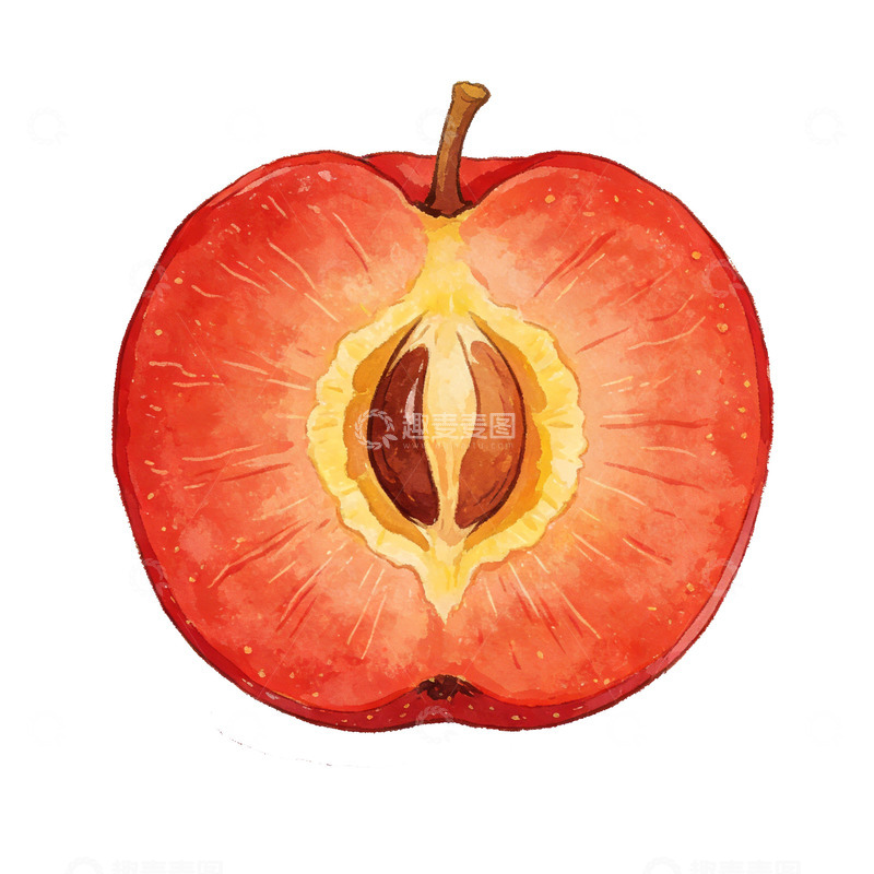 高清大图下载【趣麦麦图】水彩山楂苹果切开图案