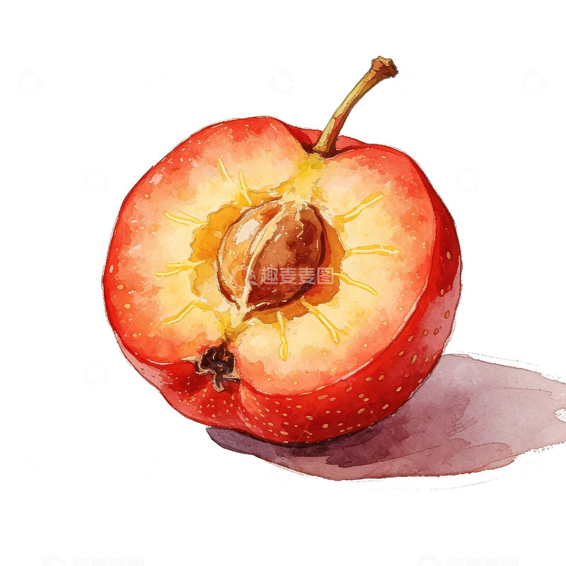 高清大图下载【趣麦麦图】水彩山楂苹果水果插画素材