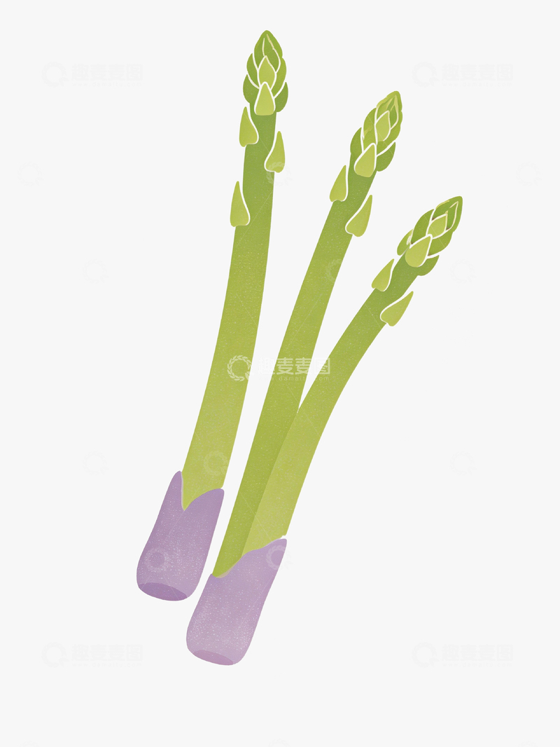 源文件下载【趣麦麦图】极简风格芦笋1