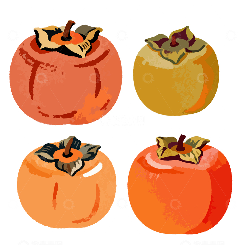 源文件下载【趣麦麦图】水彩风柿子插画设计素材