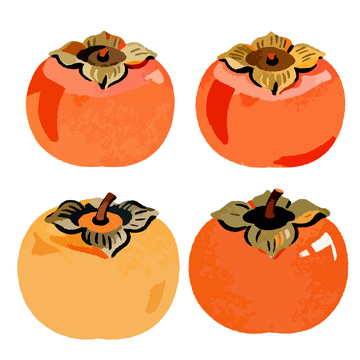 手绘柿子插画设计素材