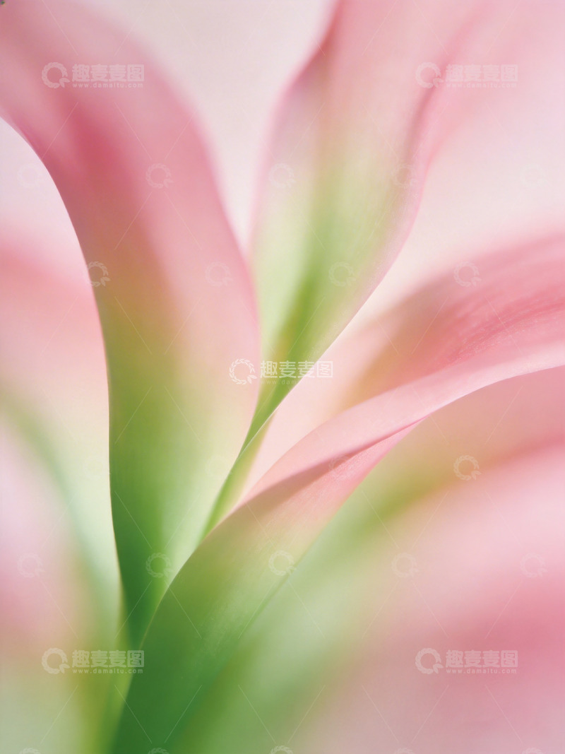 高清大图下载【趣麦麦图】春日氛围感高级艺术海报