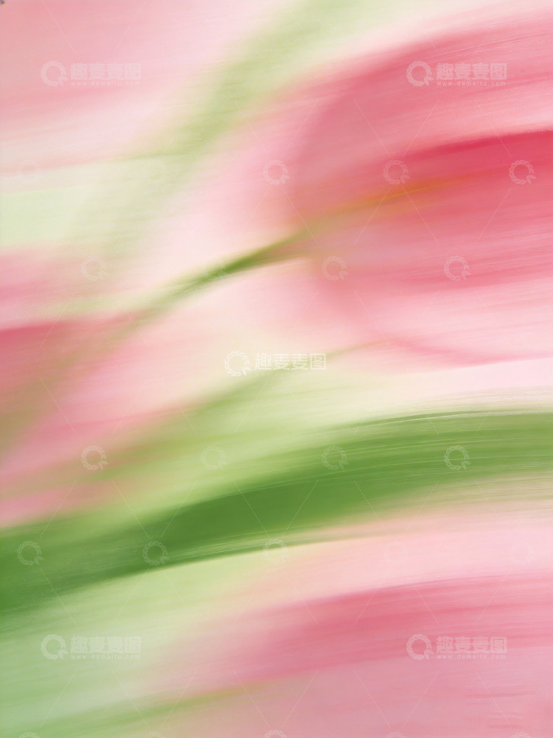 高清大图下载【趣麦麦图】春日氛围感高级艺术插画2