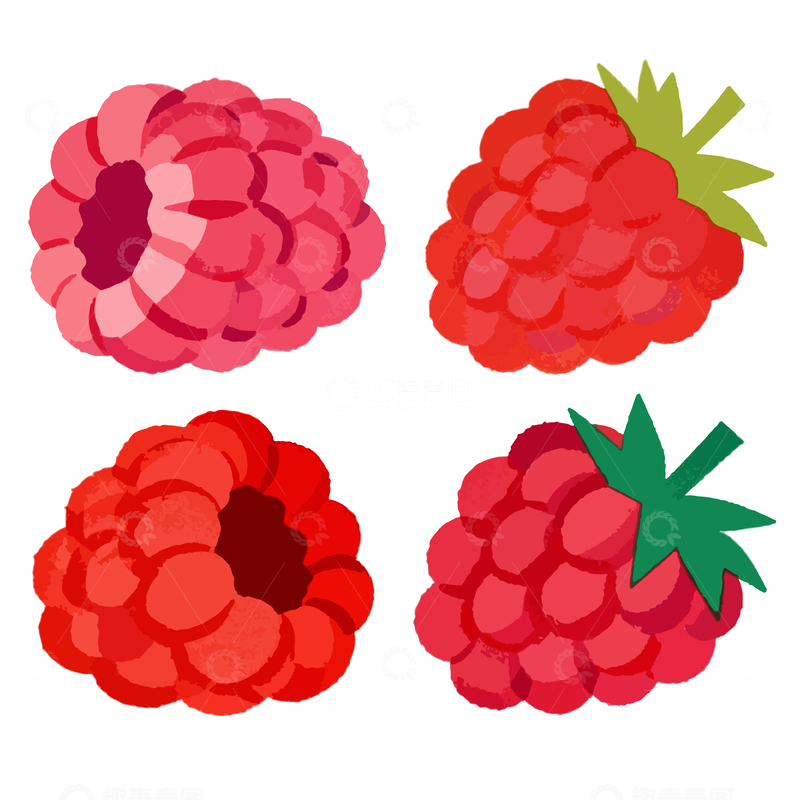 源文件下载【趣麦麦图】卡通风格树莓插图设计元素