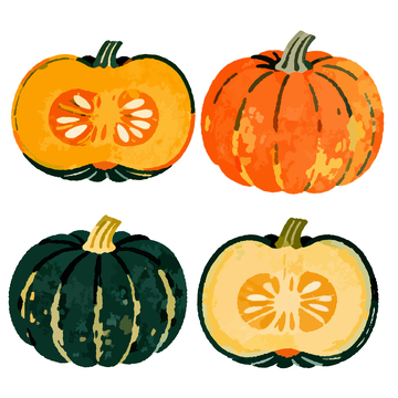 南瓜插画手绘设计素材