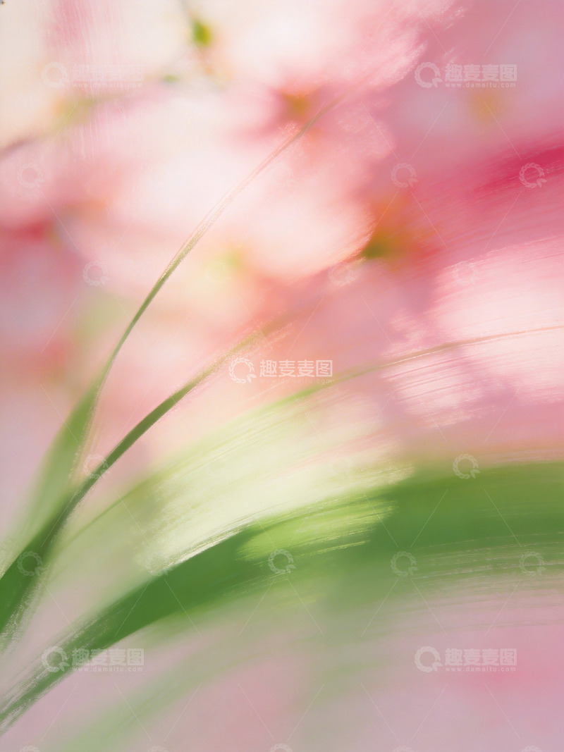 高清大图下载【趣麦麦图】春日氛围感高级艺术插画3