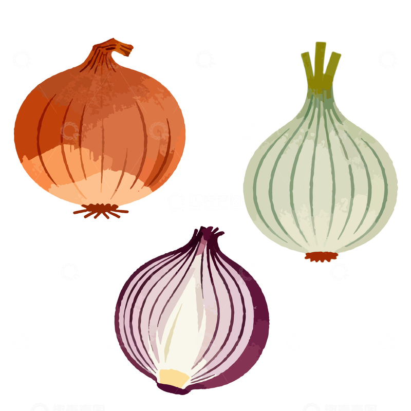 源文件下载【趣麦麦图】手绘蔬菜插画合集