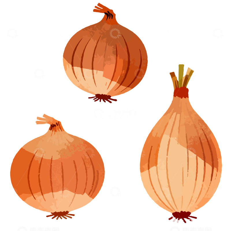 源文件下载【趣麦麦图】卡通洋葱食材插画