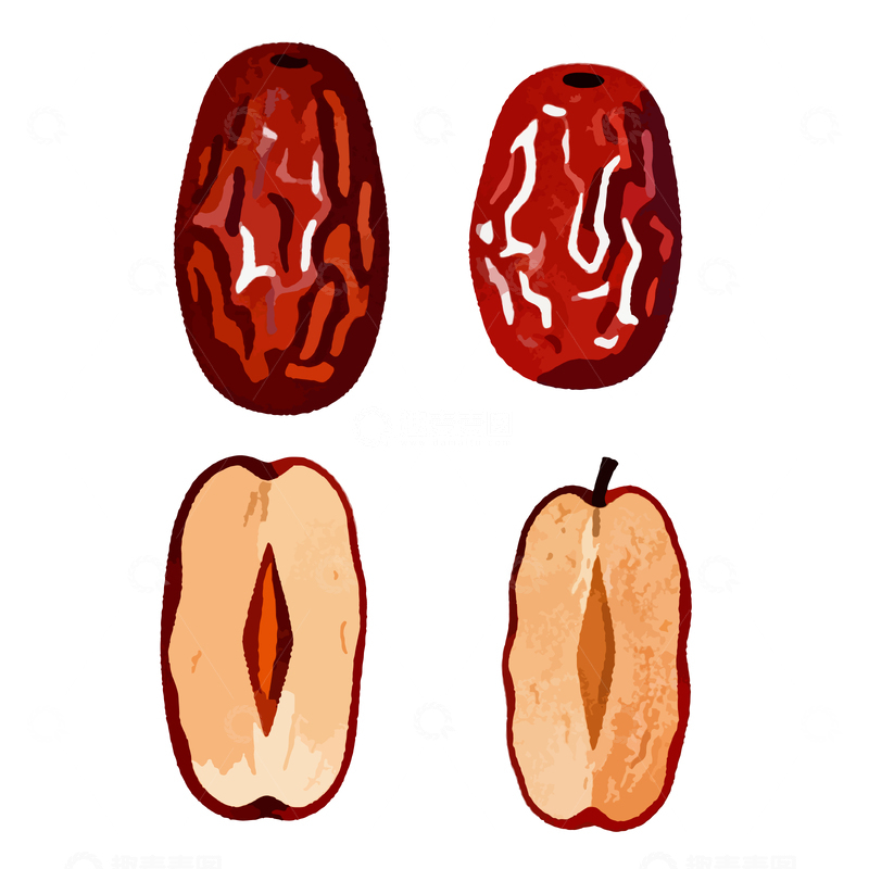 源文件下载【趣麦麦图】手绘水果插画风格枣与苹果