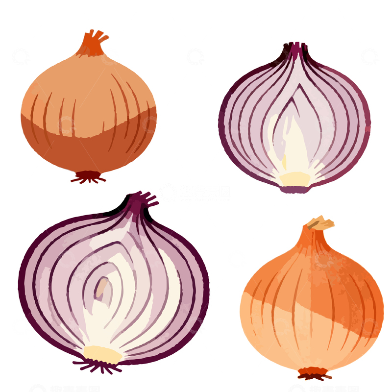 源文件下载【趣麦麦图】手绘洋葱插画设计素材