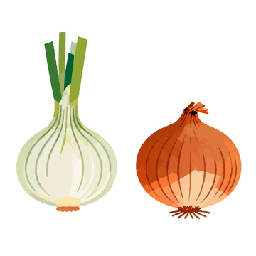 简约蔬菜插画