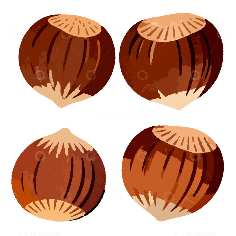 源文件下载【趣麦麦图】手绘板栗插画素材