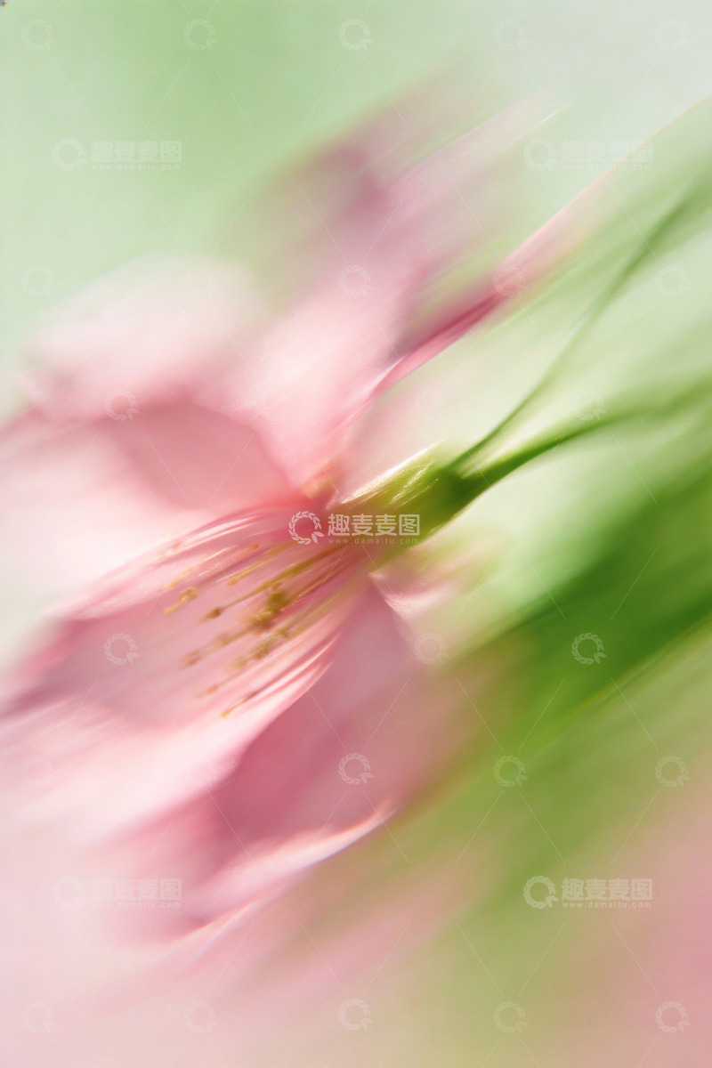 高清大图下载【趣麦麦图】春日氛围感高级艺术插画