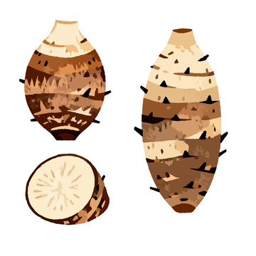 手绘薯类植物插画