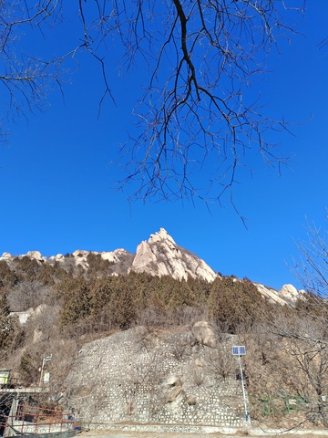 山峦蓝天枯枝风景
