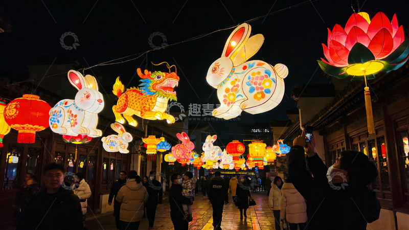 高清大图下载【趣麦麦图】逛公园赏花灯