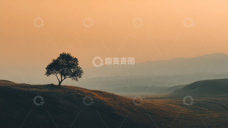 高清大图下载【趣麦麦图】孤树遥望天际的诗意瞬间