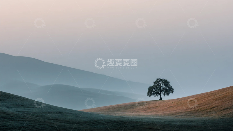 高清大图下载【趣麦麦图】孤树横亘在无限苍穹之下