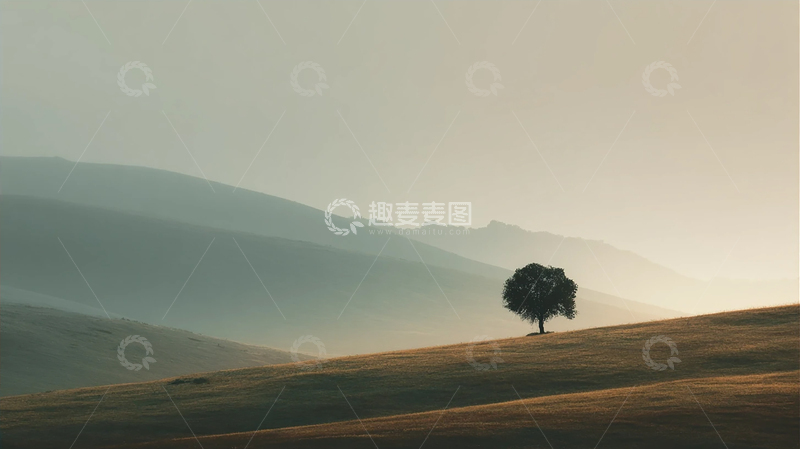 高清大图下载【趣麦麦图】孤树守望遥远天际