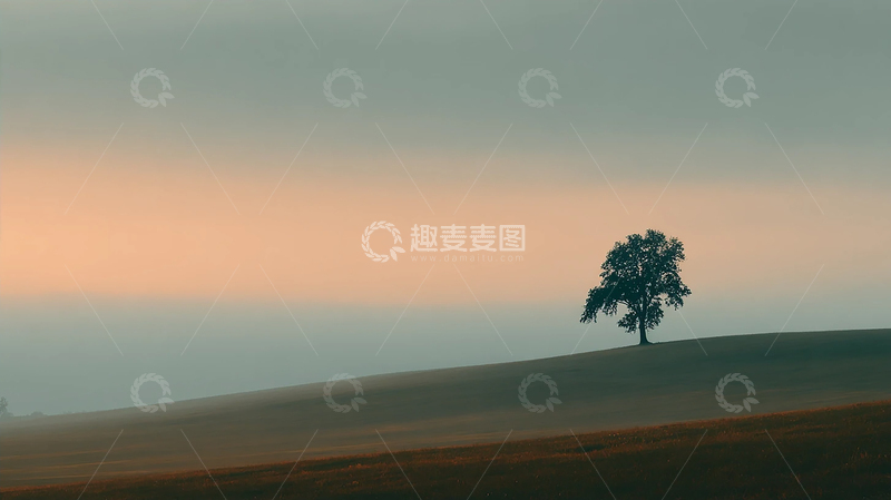 高清大图下载【趣麦麦图】孤树傲立春日黄昏