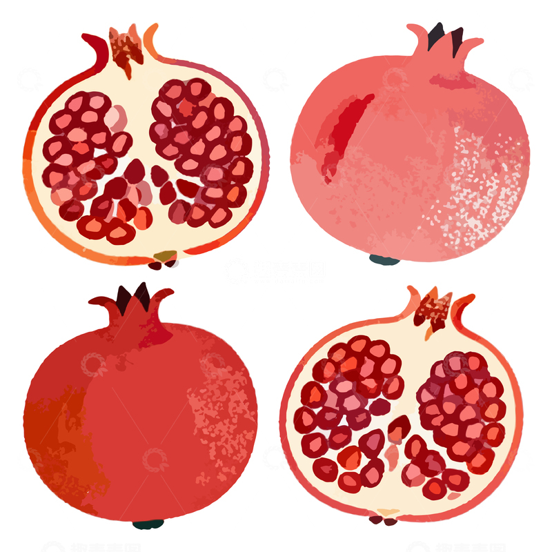 源文件下载【趣麦麦图】石榴插画设计素材