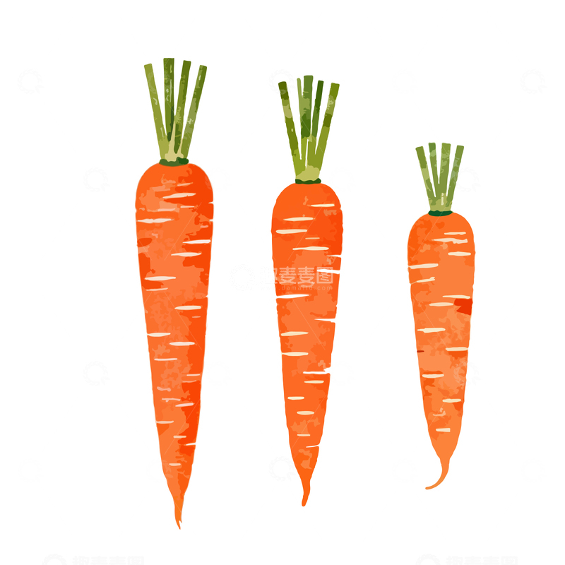 源文件下载【趣麦麦图】卡通风胡萝卜矢量插图