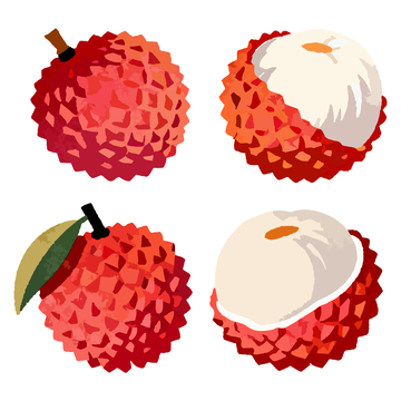 卡通风格荔枝矢量插画素材