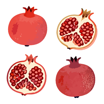 手绘石榴水果插画设计元素
