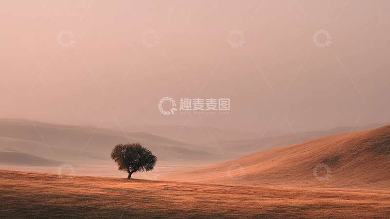 高清大图下载【趣麦麦图】孤树守望荒野的宁静梦境