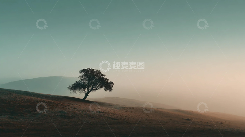 高清大图下载【趣麦麦图】孤独树影的静谧之歌