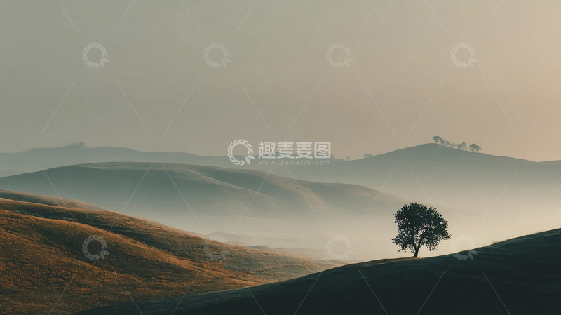 高清大图下载【趣麦麦图】雾气缭绕的孤独树影