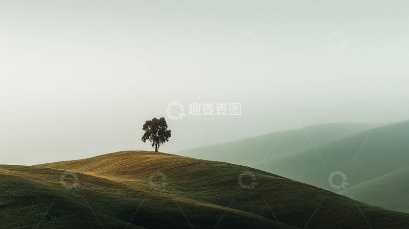 高清大图下载【趣麦麦图】孤树横跨云海的静谧诗篇