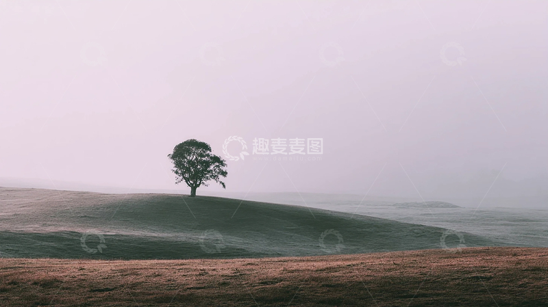 高清大图下载【趣麦麦图】孤树荒野的淡淡忧伤