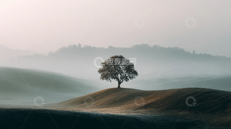 高清大图下载【趣麦麦图】孤树荒野中的生命奇迹